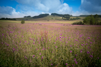 Beskid niski