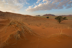 Sossusvlei