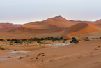 Deadvlei