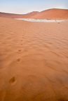 Deadvlei