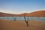 Deadvlei