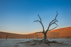 Deadvlei