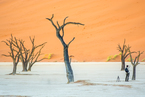 Deadvlei