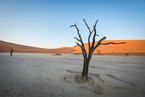 Deadvlei