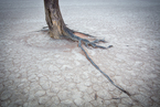 Deadvlei