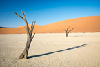 Deadvlei