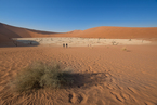 Deadvlei