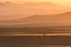 Rostock Desert Campsite