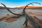 Deadvlei